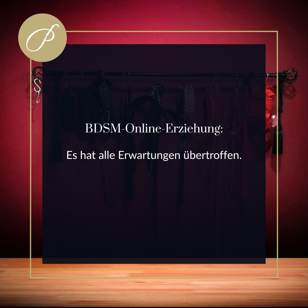 Sissy Langzeiterziehung Erfahrung: Zitat-Pin zum Blogbeitrag, Es hat alle Erwartungen übertroffen., Lady Penelope
