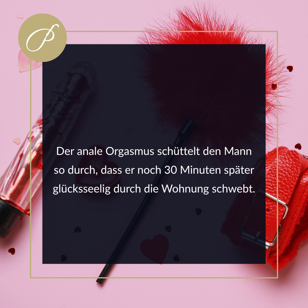 Sissygasm – Zitat-Pin: „Der Körper entscheidet, nicht du.