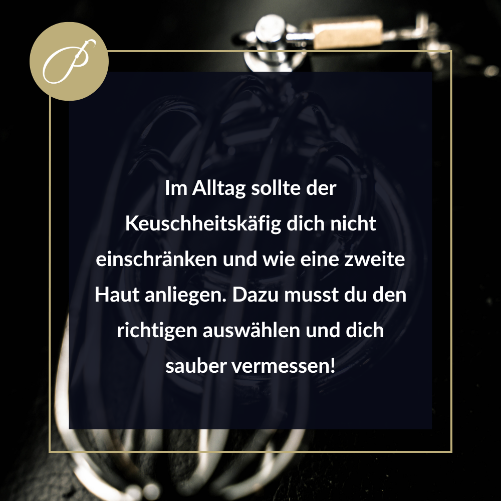 Keuschheitskäfig finden – Zitat-Pin: „Komfort ist kein Luxus, sondern Voraussetzung.